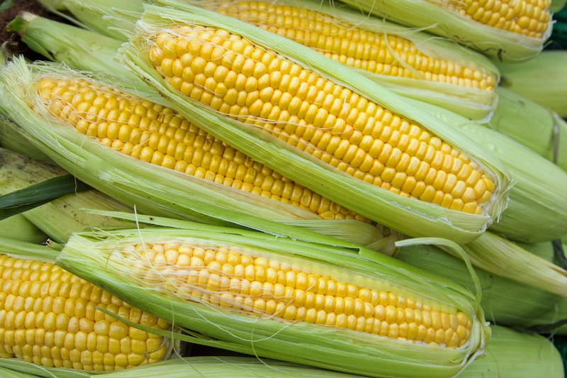 sweet-corns
